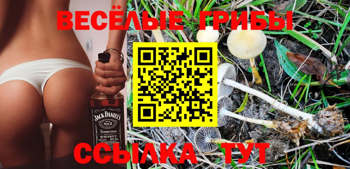 Галлюциногенные грибы MAGIC MUSHROOMS Павловский Посад